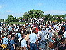 crowd_4